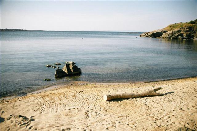 Villa Via Pontica Süzebolu Dış mekan fotoğraf
